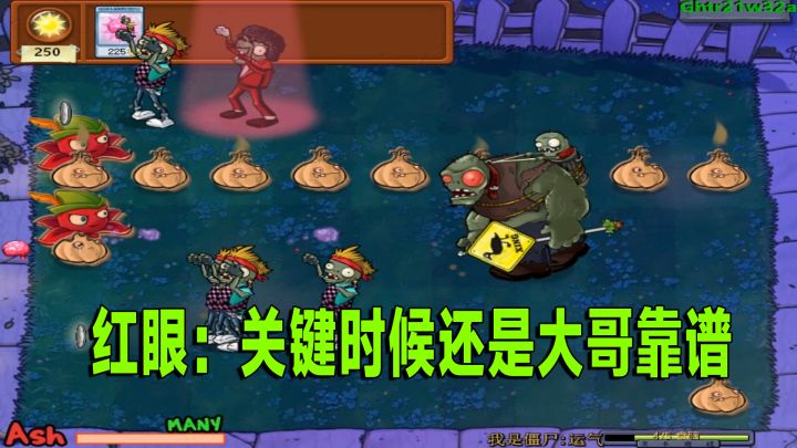 植物大战僵尸:二千五阳光挑战满屏大蒜加红针花,这应该不难吧截图