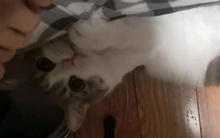 浅浅更新一下子截图
