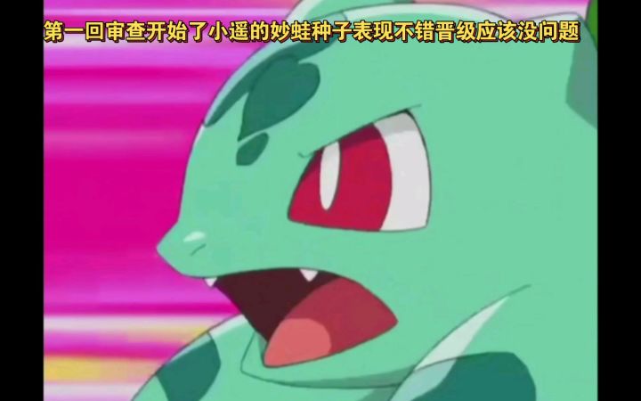 精灵宝可梦 第一回审查开始了小遥的妙蛙种子表现不错晋级应该没问题截图