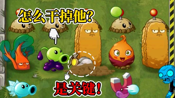 植物大战僵尸:在创意庭院里卡矿工!截图