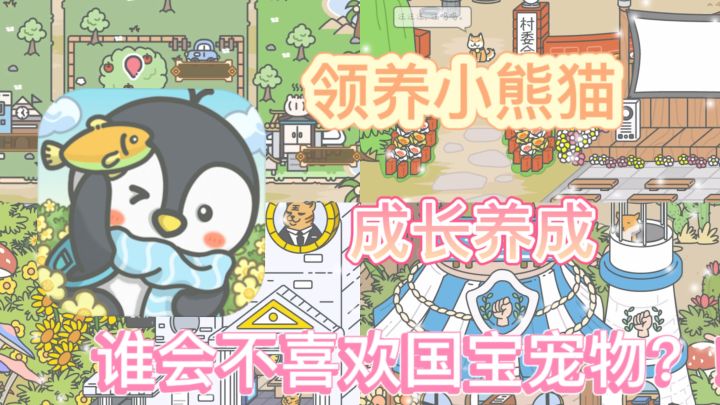 (少女必备)领养小熊猫当宠物啦^_^谁能抵挡国宝的可爱!截图