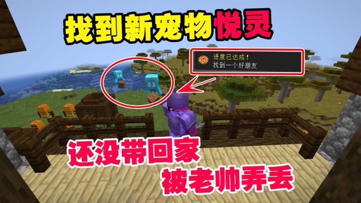 1.19联机39：找到了新宠物悦灵，还没带回家，被老帅弄丢截图