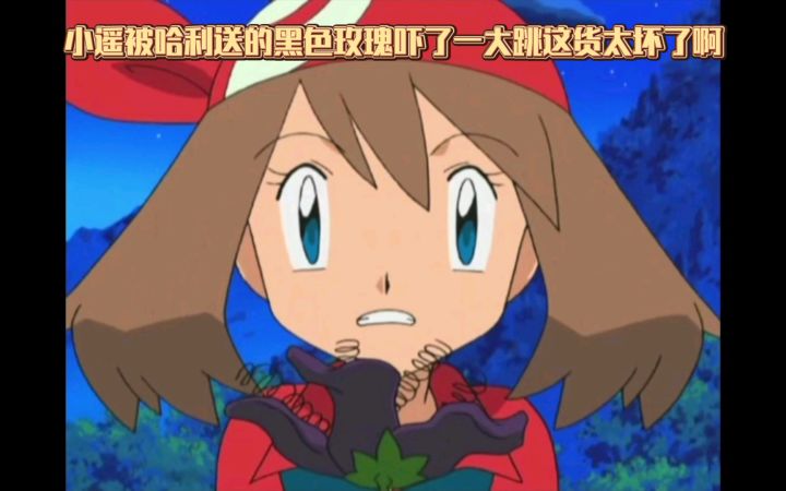精灵宝可梦 小遥被哈利送的黑色玫瑰吓了一大跳这货太坏了啊截图