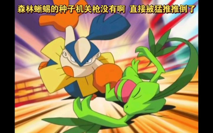 精灵宝可梦 森林蜥蜴的种子机关枪没有啊 直接被猛推推倒了截图