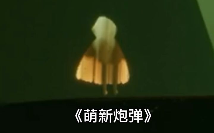 来自萌新的反击截图