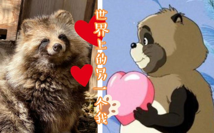 一只早柚（确信）截图