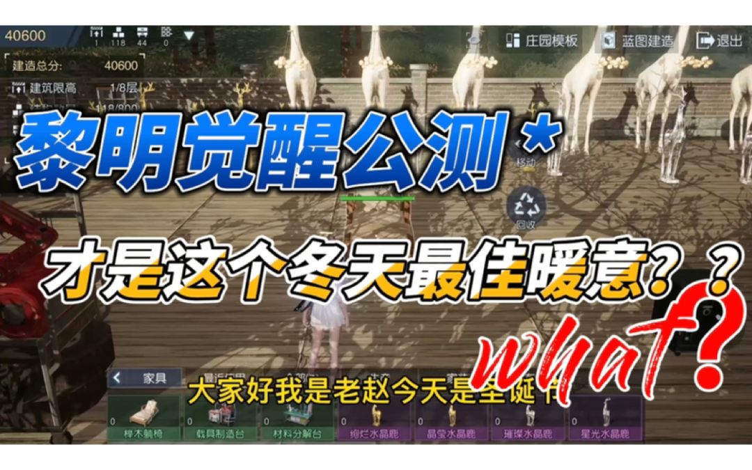 video-2332598
