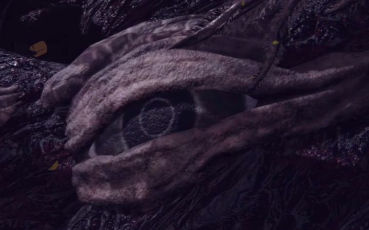 【中文字幕】ZullieTheWitch《艾尔登法环》细节探索:死王子的眼睛截图
