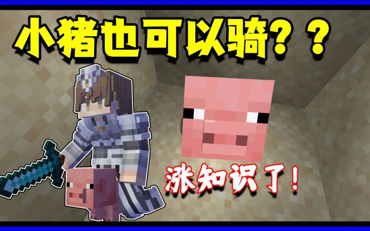 我的世界冷知识:早期版本小猪也可以骑乘?小猪直呼做个人吧!截图