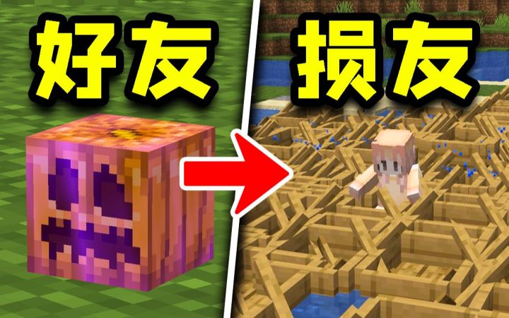 我的世界：5个阴间操作，让友谊更加“深厚”！截图