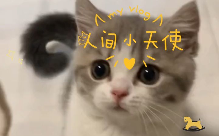 “每天一遍,emo再见!”截图
