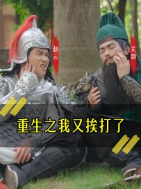 《重生之我又挨打了》