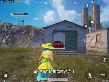 叶某人没空来，我这个马丁只好自己偷走了#全网挑战叶某人截图