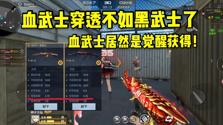 血武士调整后穿透不如黑武士了，获取方式是觉醒就离谱！截图