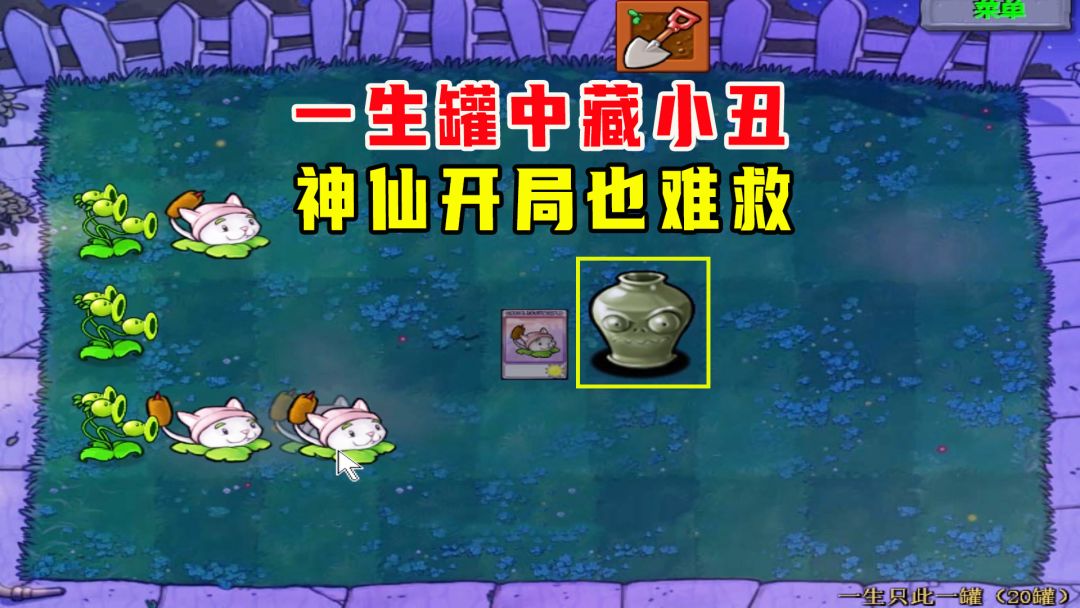 video-2555028