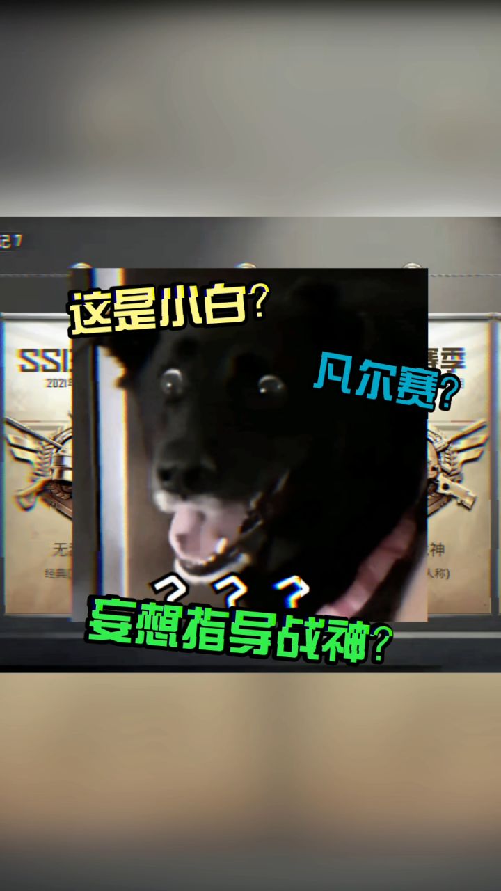 这就是来自“小白”的压迫感吗截图