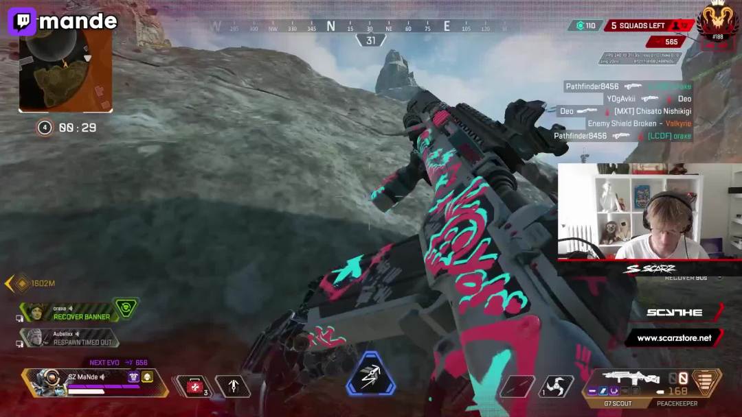 video-3024926