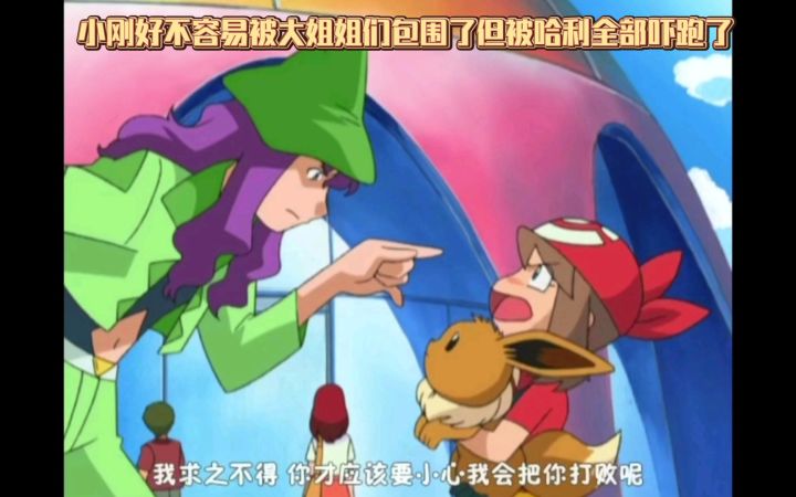 精灵宝可梦 小刚好不容易被大姐姐们包围了但被哈利全部吓跑了截图