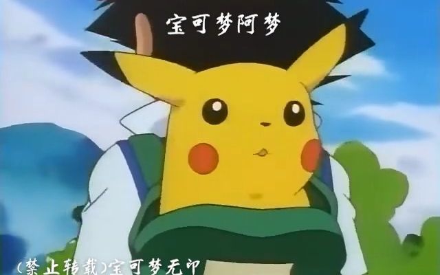 皮卡丘:大明星一个,勿拍截图