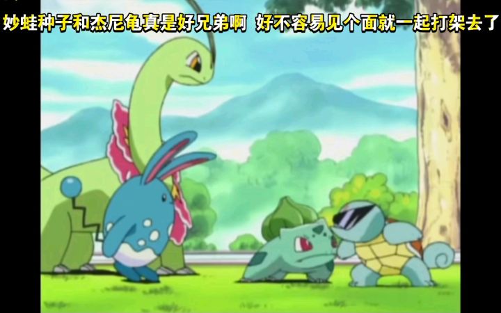 精灵宝可梦 哈哈哈 妙蛙种子和杰尼龟真是好兄弟啊 好不容易见个面就一起打架去了截图