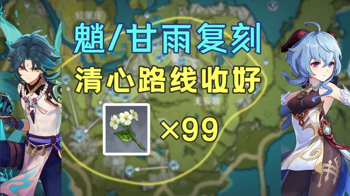 【原神】魈甘雨确定复刻!清心还够嘛?99朵清心采集路线,贴心跟跑!截图