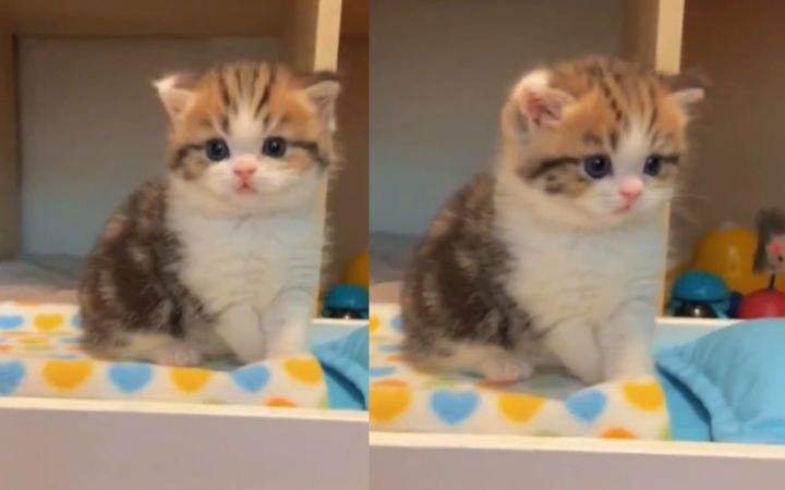 猛男阵亡,只需要三秒!截图