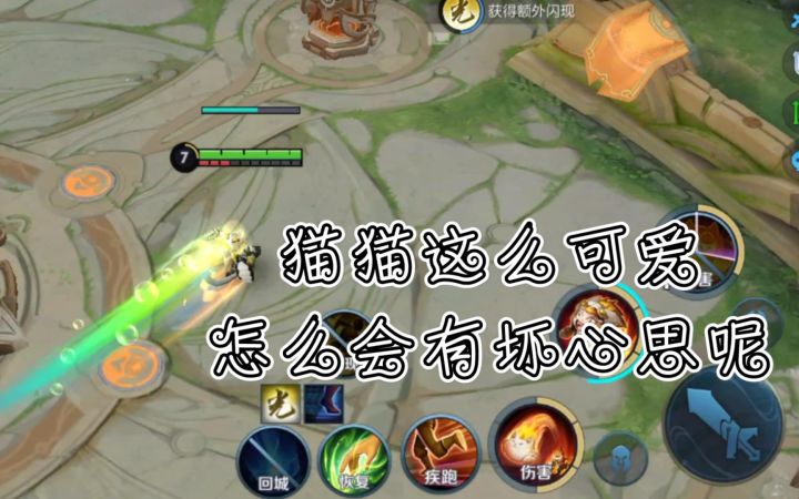 【王者荣耀】猫猫这么可爱,怎么会有坏心思呢截图