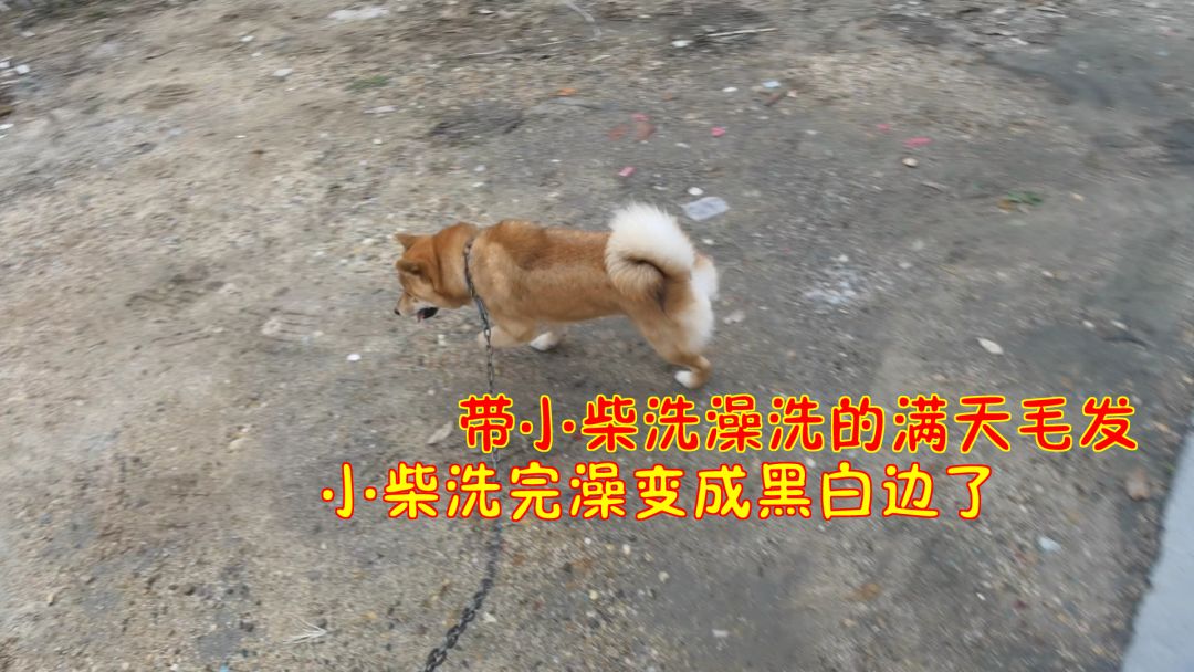 video-2428767