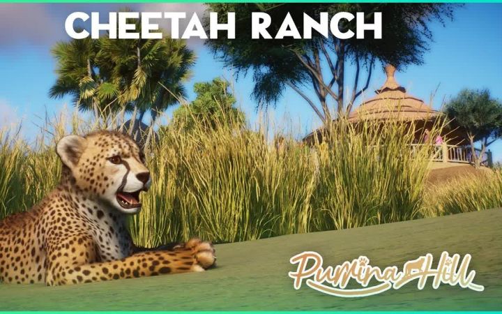 【搬运】动物园之星 CHEETAH RANCH - Purrina Hill - by Rudi Rennkamel截图