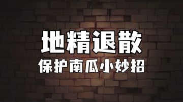 霍格沃茨魔法情报课 | 保护南瓜小妙招视频攻略