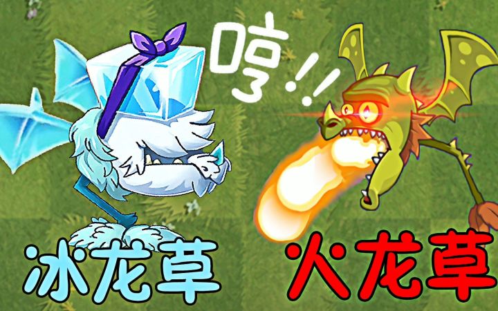 植物大战僵尸：同样是龙草，为何差距这么大？截图