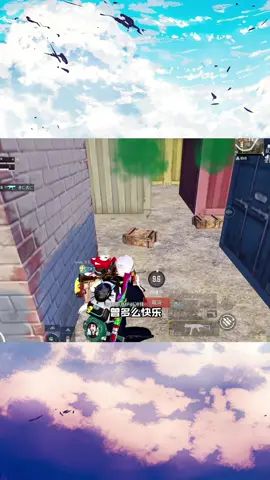 video-2137123