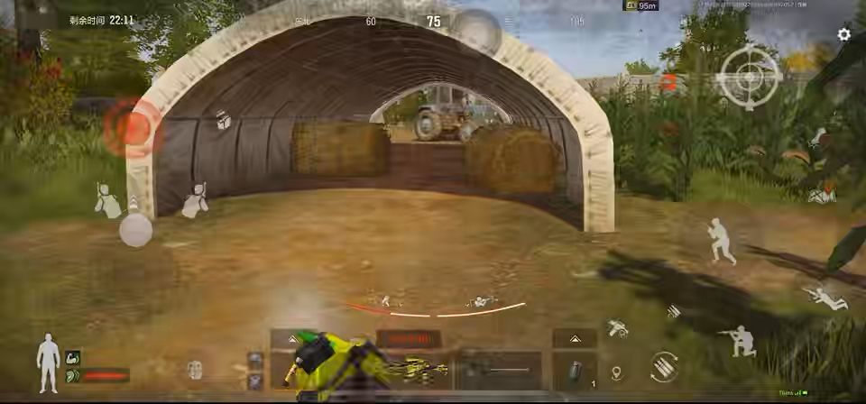 video-5178162