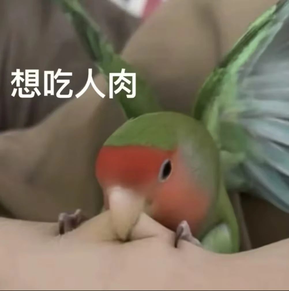 video-5743431