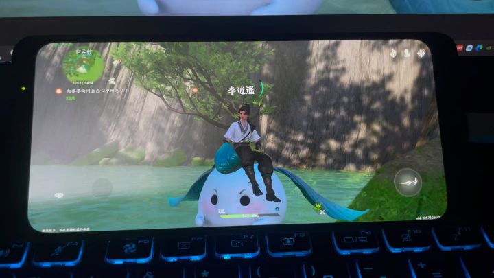 手机上的画质截图