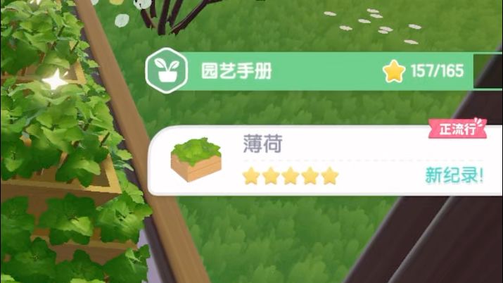 邪恶火龙果🆚贝贝薄荷截图