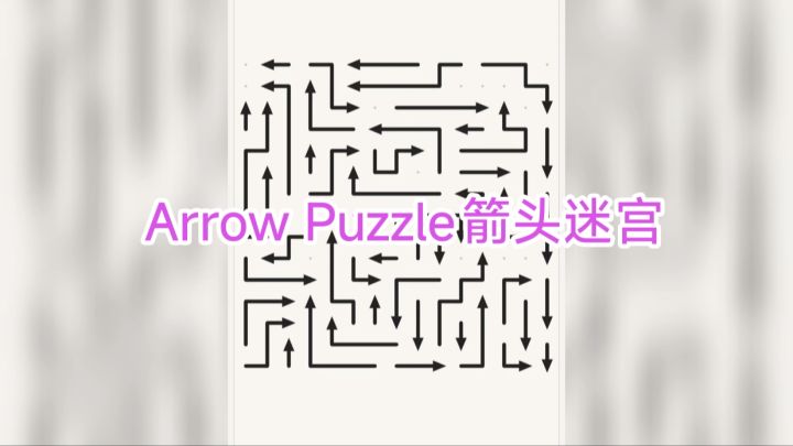 这次我一定要走出箭头迷宫!截图