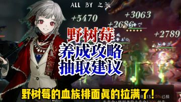 野树莓共鸣/配队/心相/塑造一站式攻略来啦