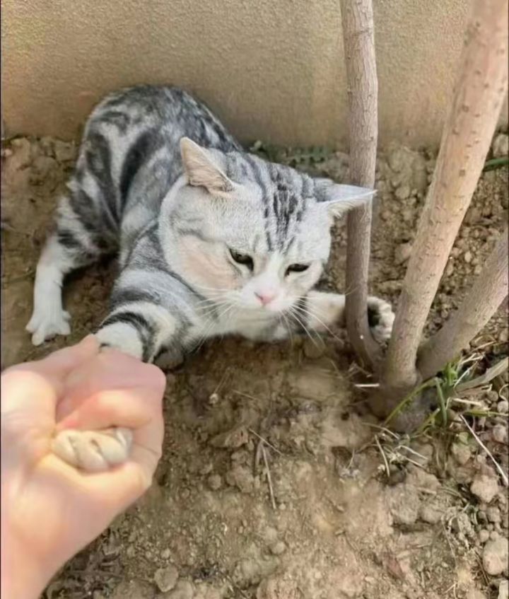 故事的最后,独留我一人截图