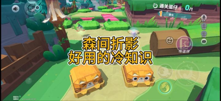 森间折影你不知道的冷知识截图