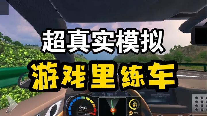 真实驾车体验❗足不出户游遍全中国 也学会了开车截图