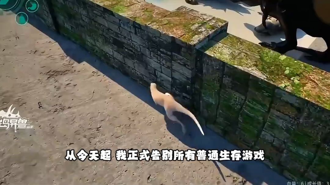 video-5734173