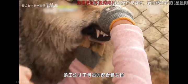 bug截图