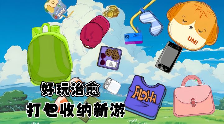 好玩解压无广告! !可爱休闲易上手 轻松打包闯关截图