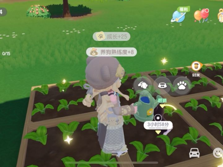 狗狗训练截图