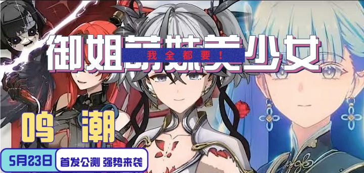 鸣潮 美少女大世界开放探索游戏 探不探索不重要 美少女我全都要截图