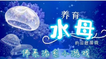 超佛系放置小游戏#萌宠在哪里#