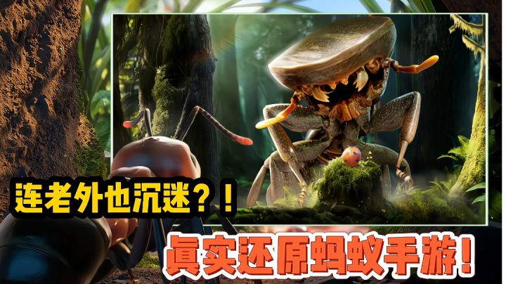 【好战玩家专属】一款让老外也沉迷的3D写实蚂蚁 国产手游！#小小蚁国 公测#截图
