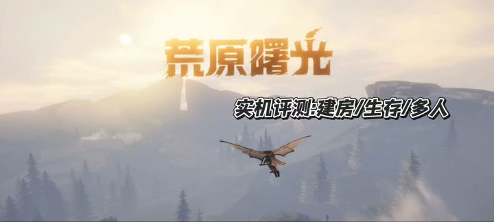 荒原曙光:独树一帜的生存游戏截图