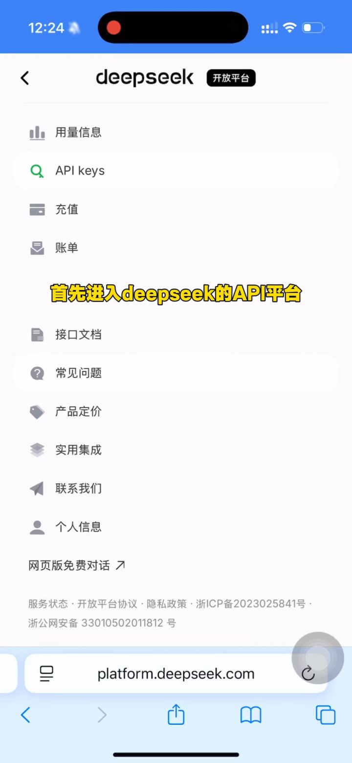 AI API连接教程(ds版本)截图